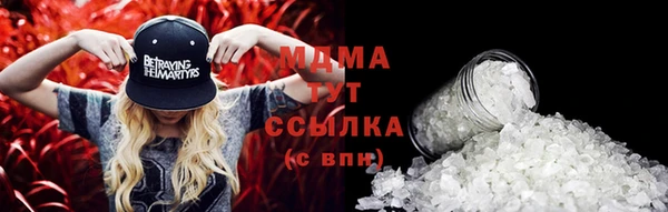 гидра Корсаков