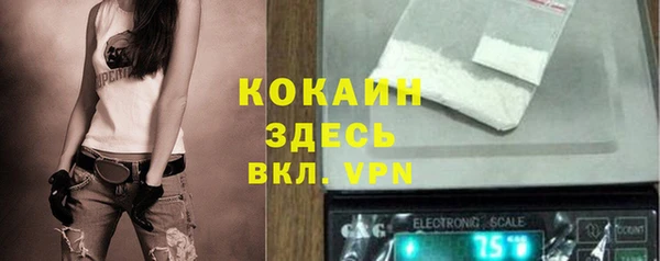 гидра Корсаков