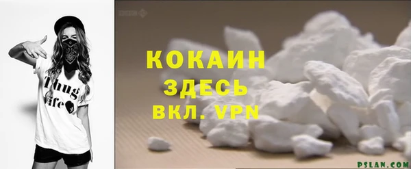 гидра Корсаков