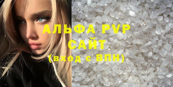 гидра Корсаков