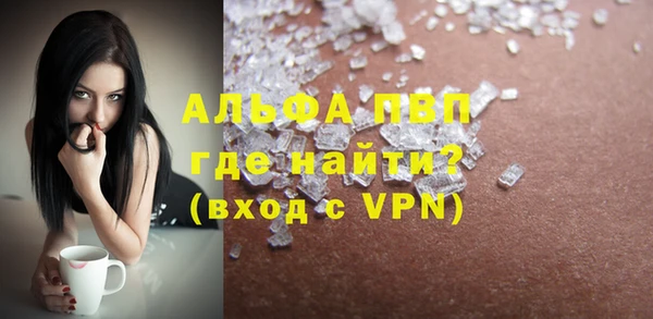 гидра Корсаков