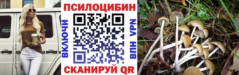 Галлюциногенные грибы Magic Shrooms  Ладушкин 